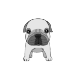 フレンチブルドッグの無料手書きイラスト