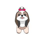 リボンを付けたシーズーの無料手書きイラスト