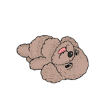 仰向けで寝ているトイプードルのイラスト