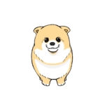 ポメラニアンの無料手書きイラスト