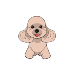 トイプードルの無料手書きイラスト