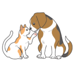 仲良しの犬と猫