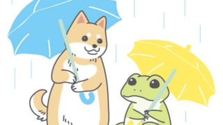 犬とカエルが傘をさしているイラスト