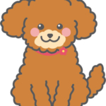トイプードル(レッド)のイラスト