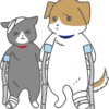 怪我（骨折）をしている犬猫のイラスト