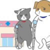 怪我（骨折）をしている犬猫と動物病院のイラスト