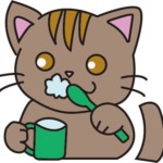 歯みがきをしている猫(こげ茶)イラスト