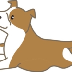 ピットブル(走る)イラスト