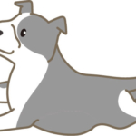 グレーのピットブルイラスト