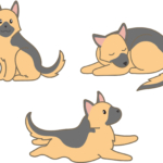 犬・シェパード(走る・座る・寝ている)