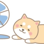 扇風機にあたる柴犬(茶色)