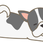 寝ているフレンチブルドッグ(右)