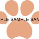 犬猫の肉球(足あと)オレンジ