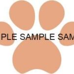 犬猫の肉球(足あと)オレンジ