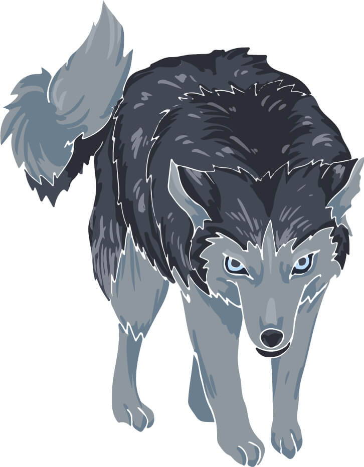 リアルな狼（オオカミ）のイラスト