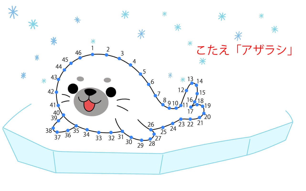 点つなぎイラスト「アザラシ」の答え